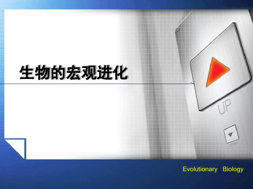 进化生物学 生物的宏观进化