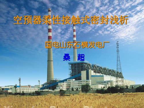 空预器柔性接触式密封浅析
