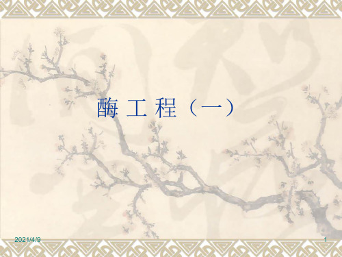 酶的命名和分类