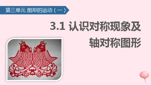 二年级数学下册3图形的运动(一)认识对称现象及轴对称图形 课件新人教版
