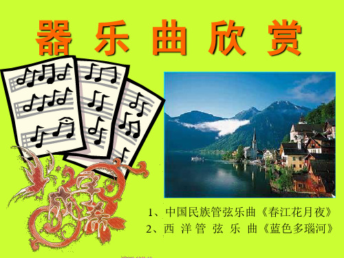 器乐曲欣赏