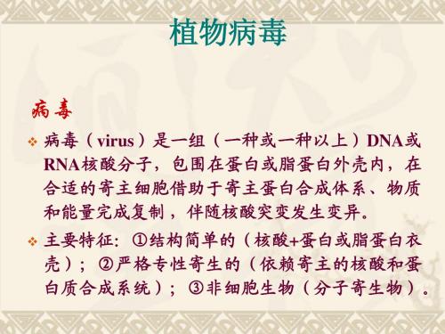 植物病毒