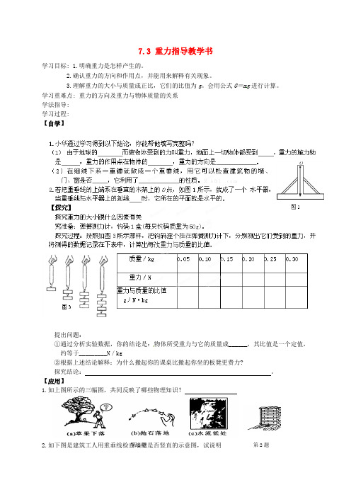 《重力指导教学书 