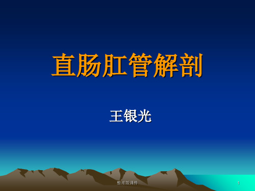 直肠肛管解剖ppt课件