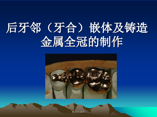 铸造金属全冠的制作PPT课件