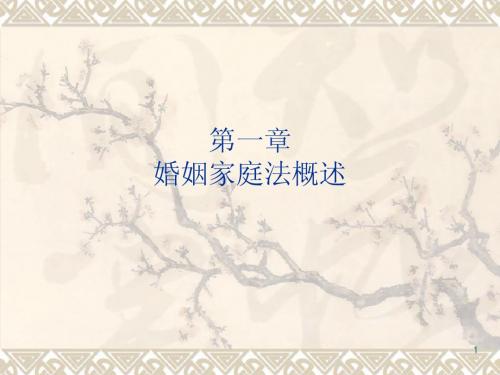 婚姻法课件