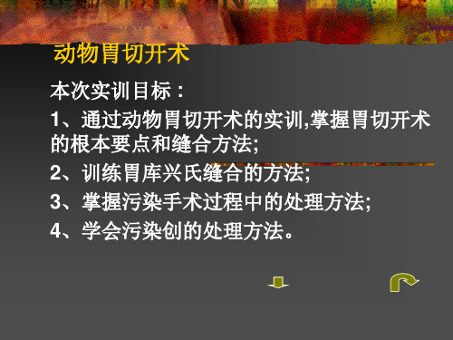 动物胃切开术