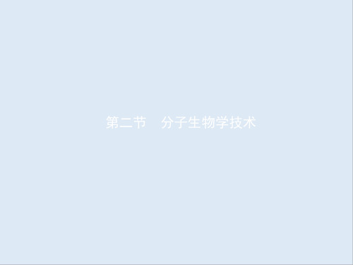 2019-2020学年高中生物4.2分子生物学技术课件苏教版选修1