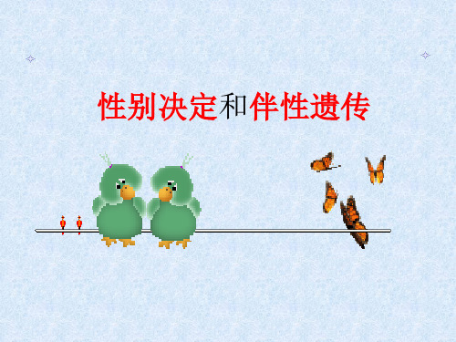 高中二年级生物性别决定和伴性遗传课件