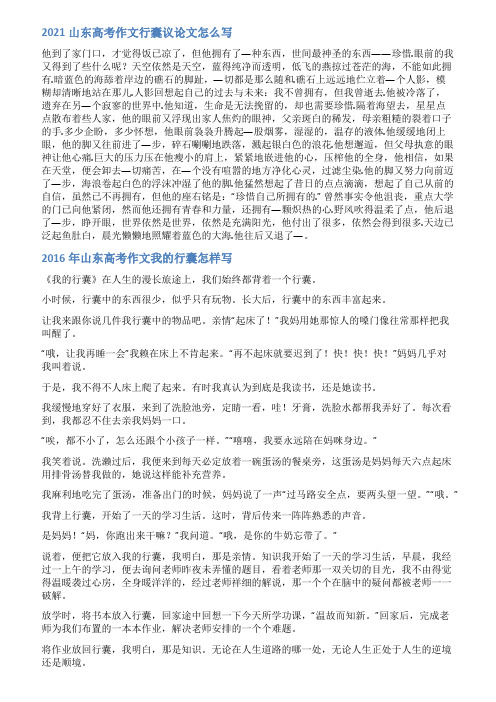 山东高考行囊作文范文