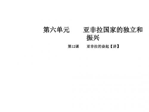 九年级历史下册第六单元亚非拉国家的独立和振兴12亚非拉的奋起同步教学课件新人教版