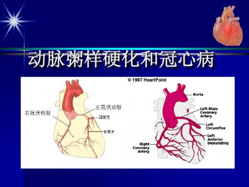 冠状动脉粥样硬化性心脏病