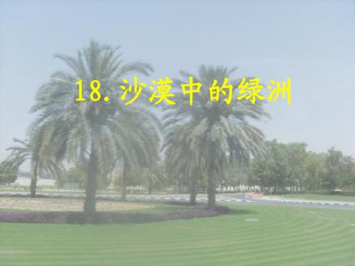 沙漠中的绿洲