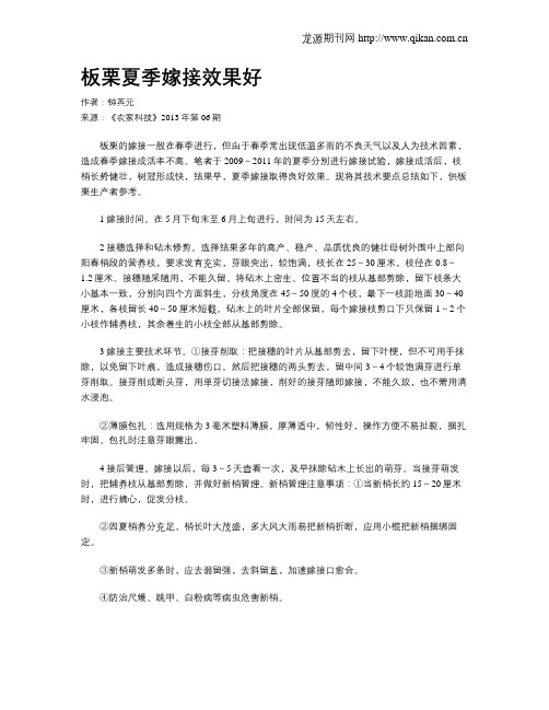 板栗夏季嫁接效果好