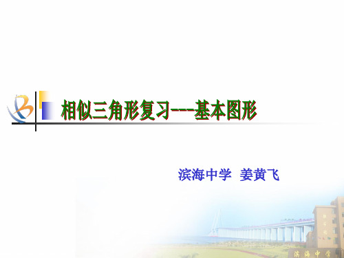 浙教版九年级数学上册教学课件-4.5 相似三角形性质及应用 (共12张PPT)
