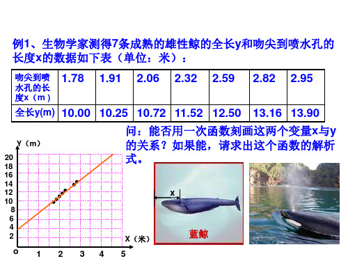 浙教版八年级数学上册课件：5.5  一次函数的简单应用 (共10张PPT)