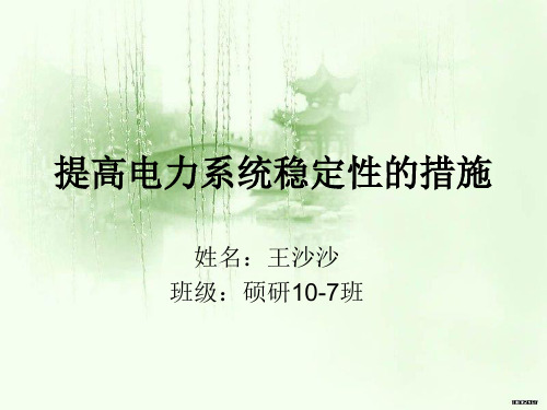 提高电力系统稳定性的措施(精)