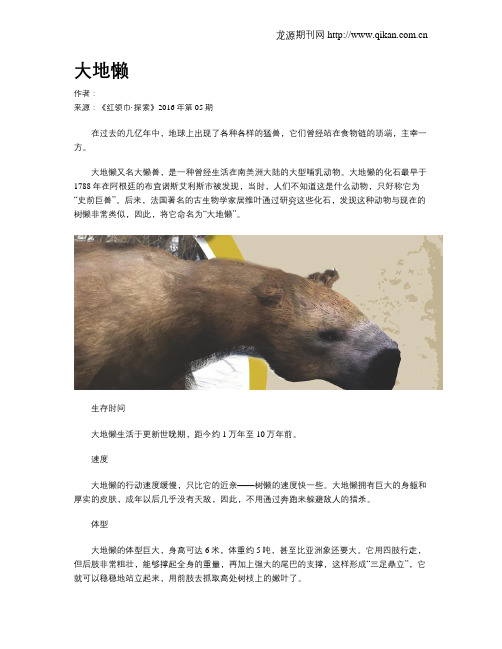 大地懒