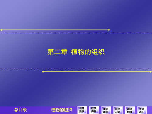 药用植物学第二章植物的组织
