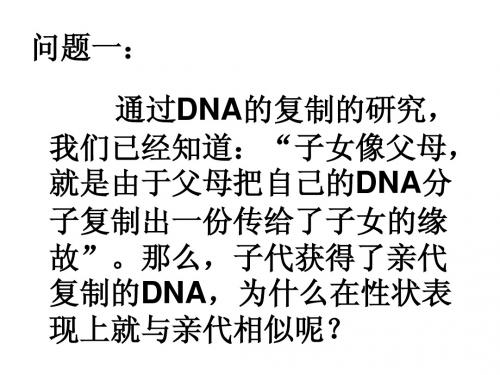 基因控制蛋白质的合成