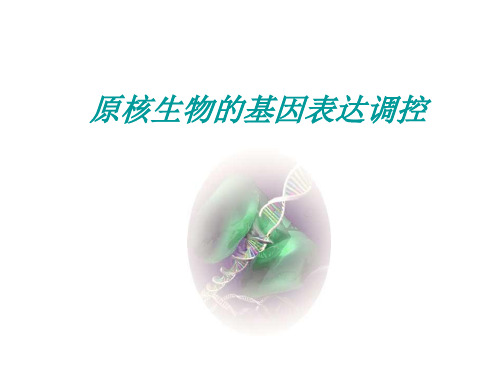 原核生物的基因表达调控