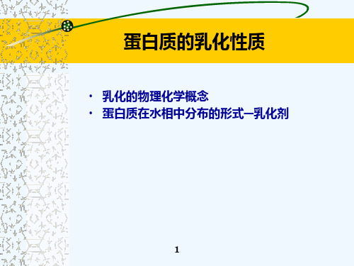 蛋白质的乳化剂性质与载量PPT(28张)