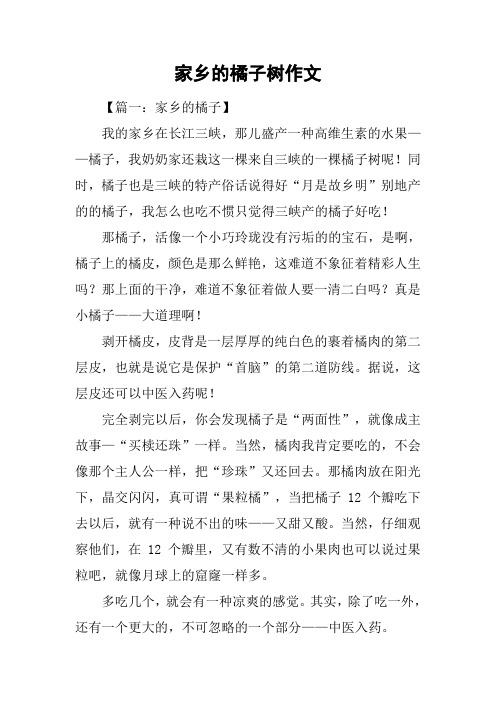 家乡的橘子树作文