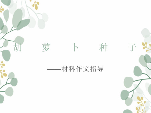材料作文指导《胡萝卜种子》