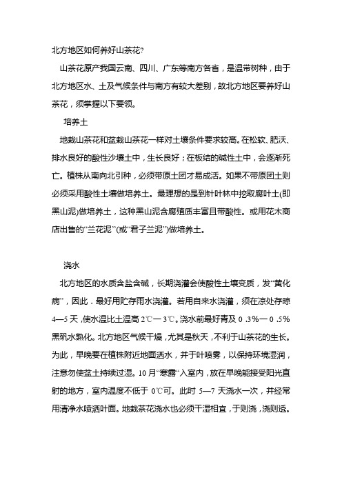 北方地区如何养好山茶花
