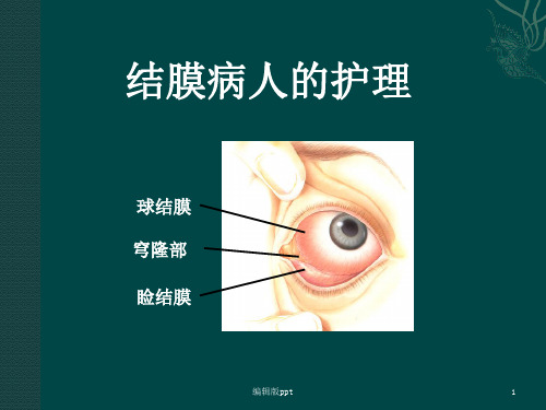 结膜病人的护理PPT课件
