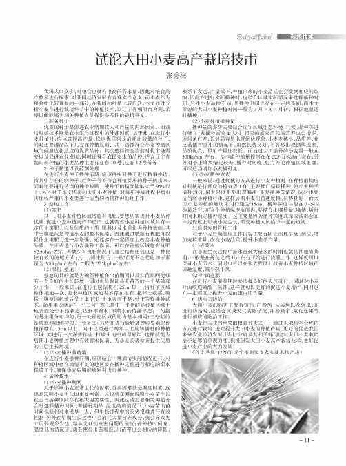 试论大田小麦高产栽培技术