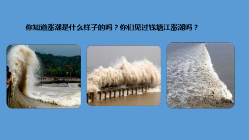 四年级上册语文精品PPT 观潮 (新部编教材)