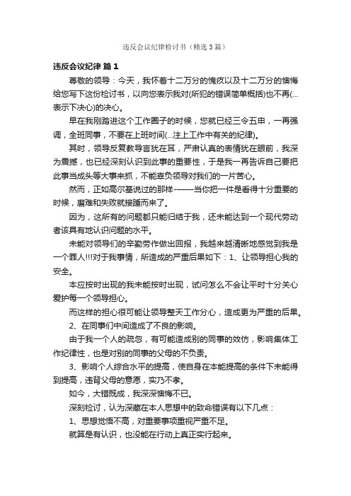 违反会议纪律检讨书（精选3篇）