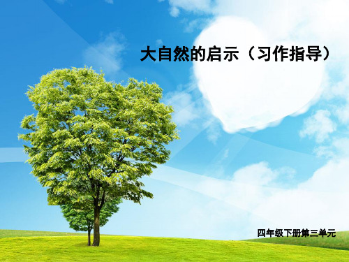 四年级下册语文园地三习作完美版