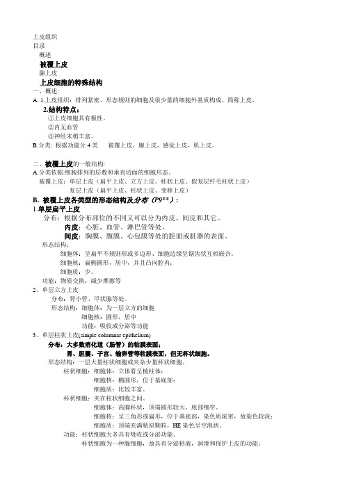 上皮组织(PPT)未完