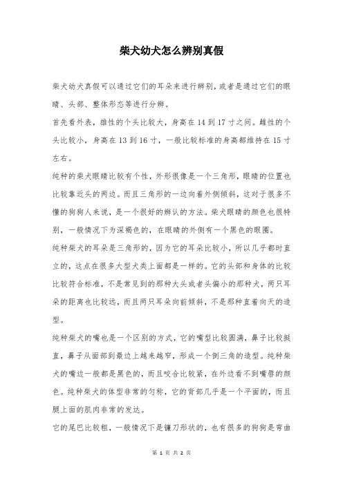 柴犬幼犬怎么辨别真假