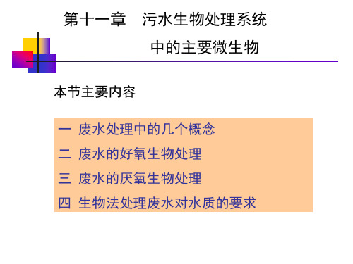 第十一章 污水生物处理系统中的主要微生物详解