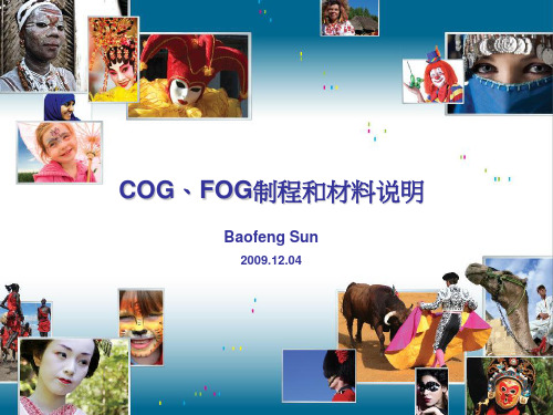 COGFOG制程介绍