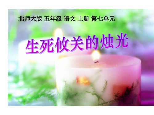 北师大版五年级语文上册《生死攸关的烛光》精品PPT课件   大赛获奖精美课件PPT
