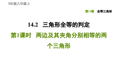 14.2.1两边及其夹角分别相等的两个三角形-2020秋沪科版八年级数学上册习题课件(共19张PPT)
