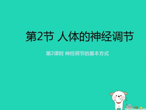 (苏科)八级生物上册6.16.1人体的神经调节第2课时课件