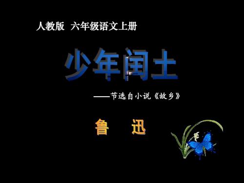 少年闰土2