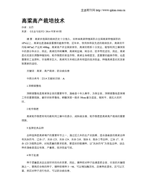 高粱高产栽培技术
