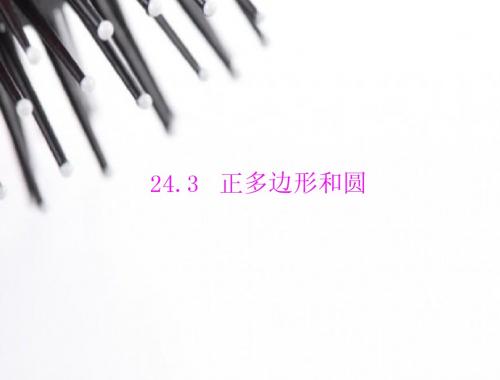 2014年秋《随堂优化训练》新人教版九年级上24.3正多边形和圆配套课件