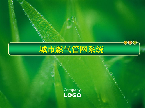城市燃气管网系统
