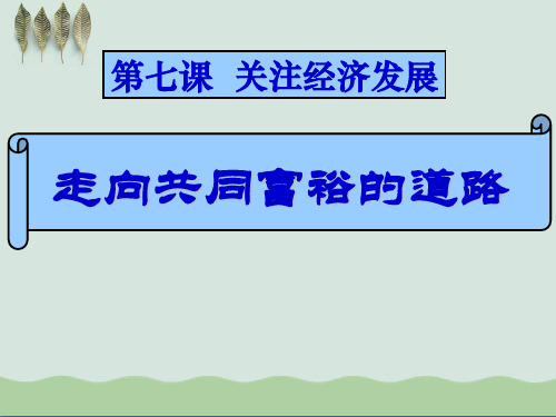 《走向共同富裕的道路》关注经济发展PPT课件