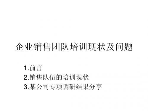 企业销售团队培训现状及问题