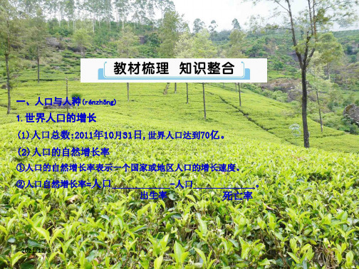 中考地理总复习 第五讲 居民与聚落 发展与合作课件
