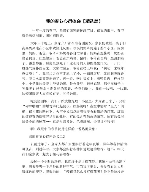我的春节心得体会【精选篇】