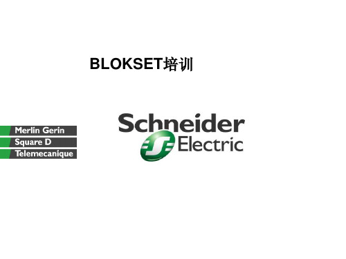 施耐德BLOKSET低压柜选型-PPT精选文档